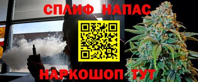 бошки Кинель